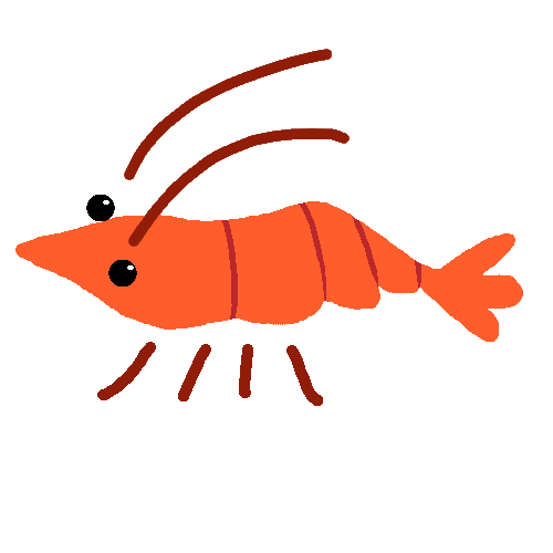 a shrimp that can be many different patterns