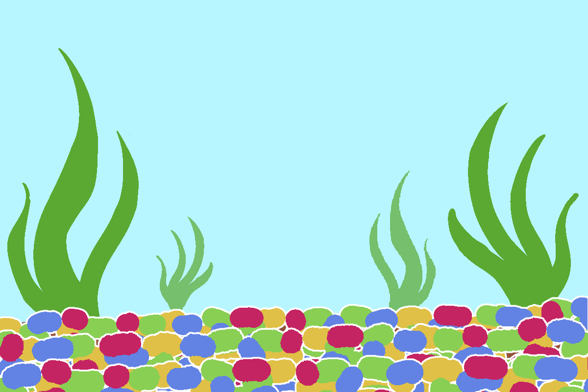 A fish tank with rainbow pebble substrate and some plants