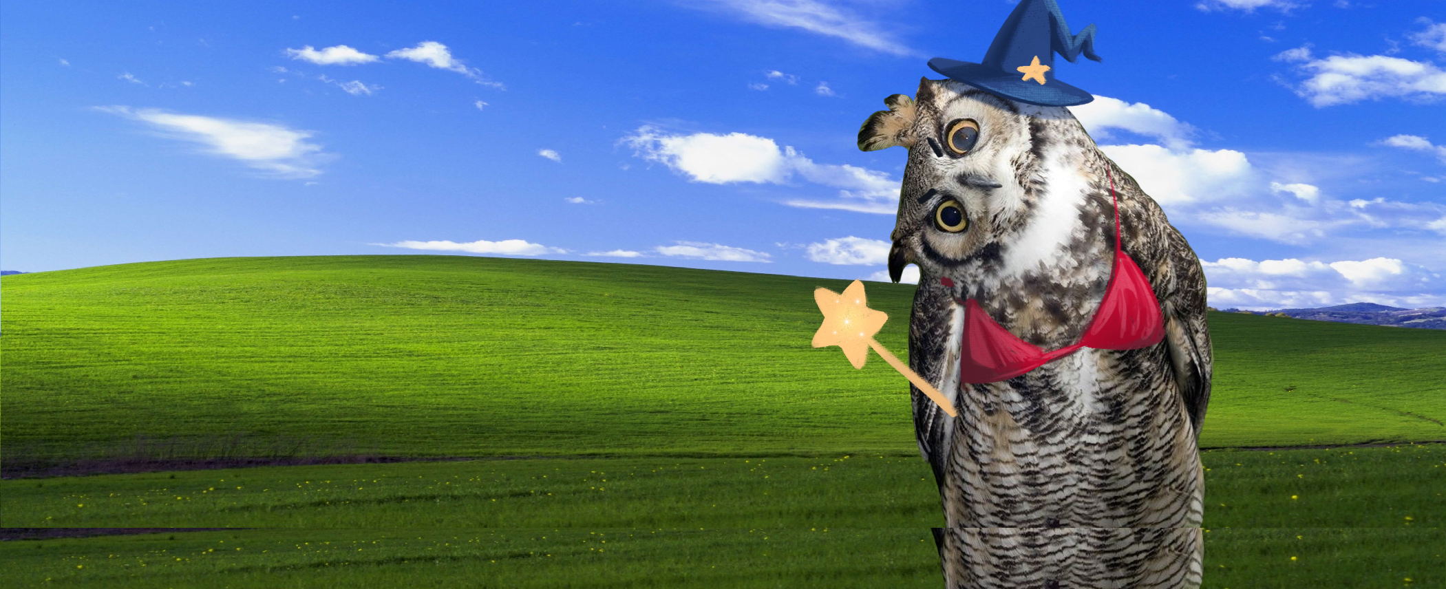 background image of a evil owl who-dini in a bikini standing in a open field