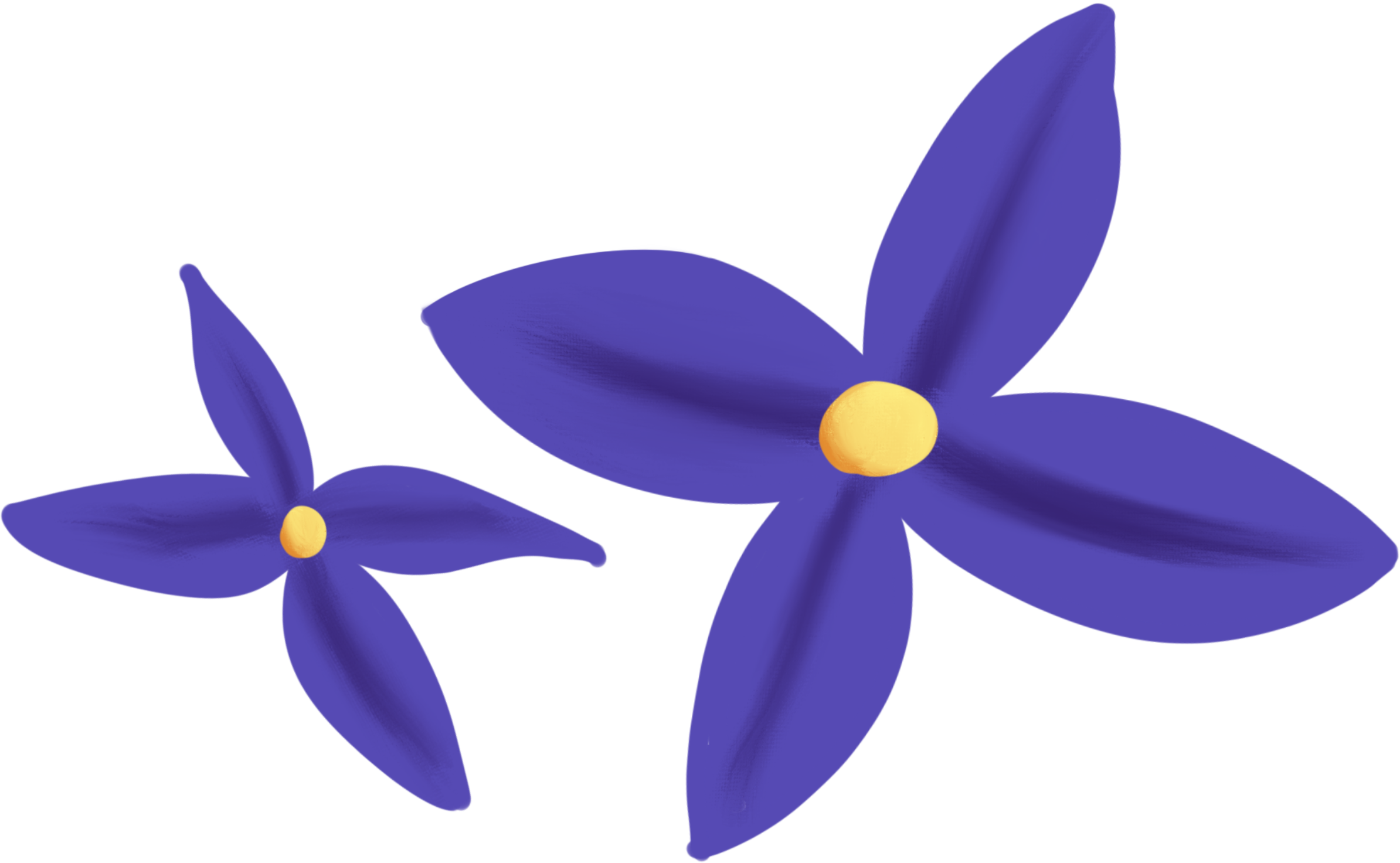 two yellow flowers next to each other with the green stem attached