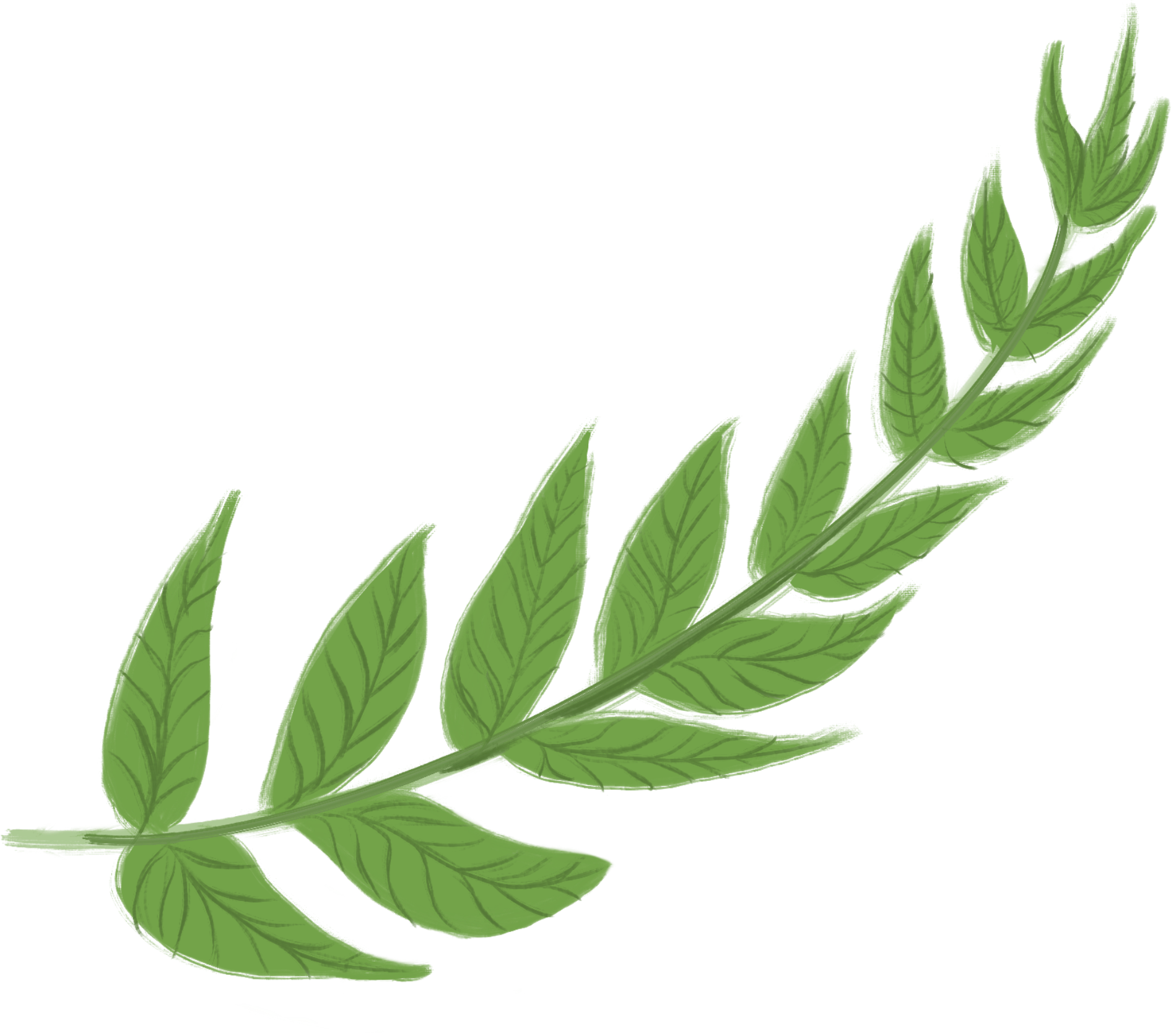 two yellow flowers next to each other with the green stem attached