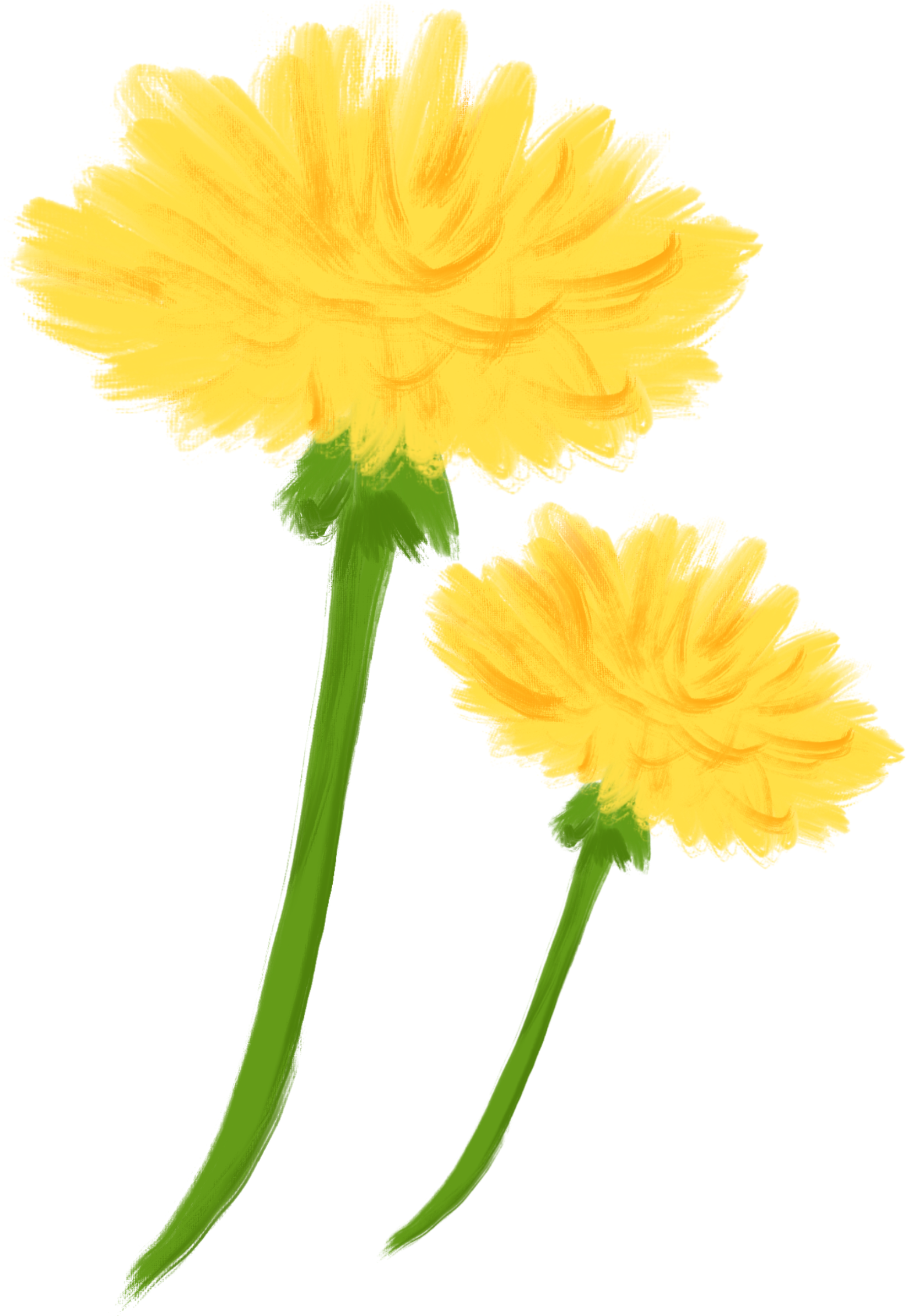 one carved moon in the shape of a c and one full moon rock. both pale yellow and leaning on one another.