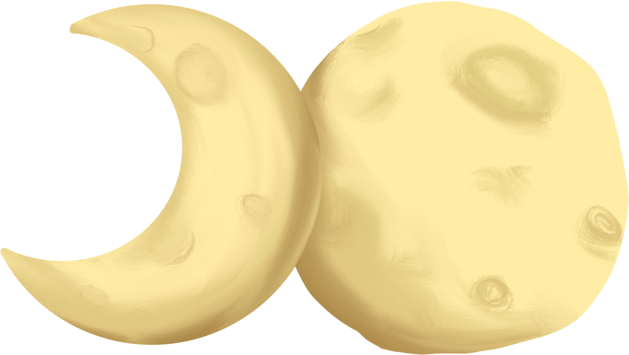 two yellow flowers next to each other with the green stem attached