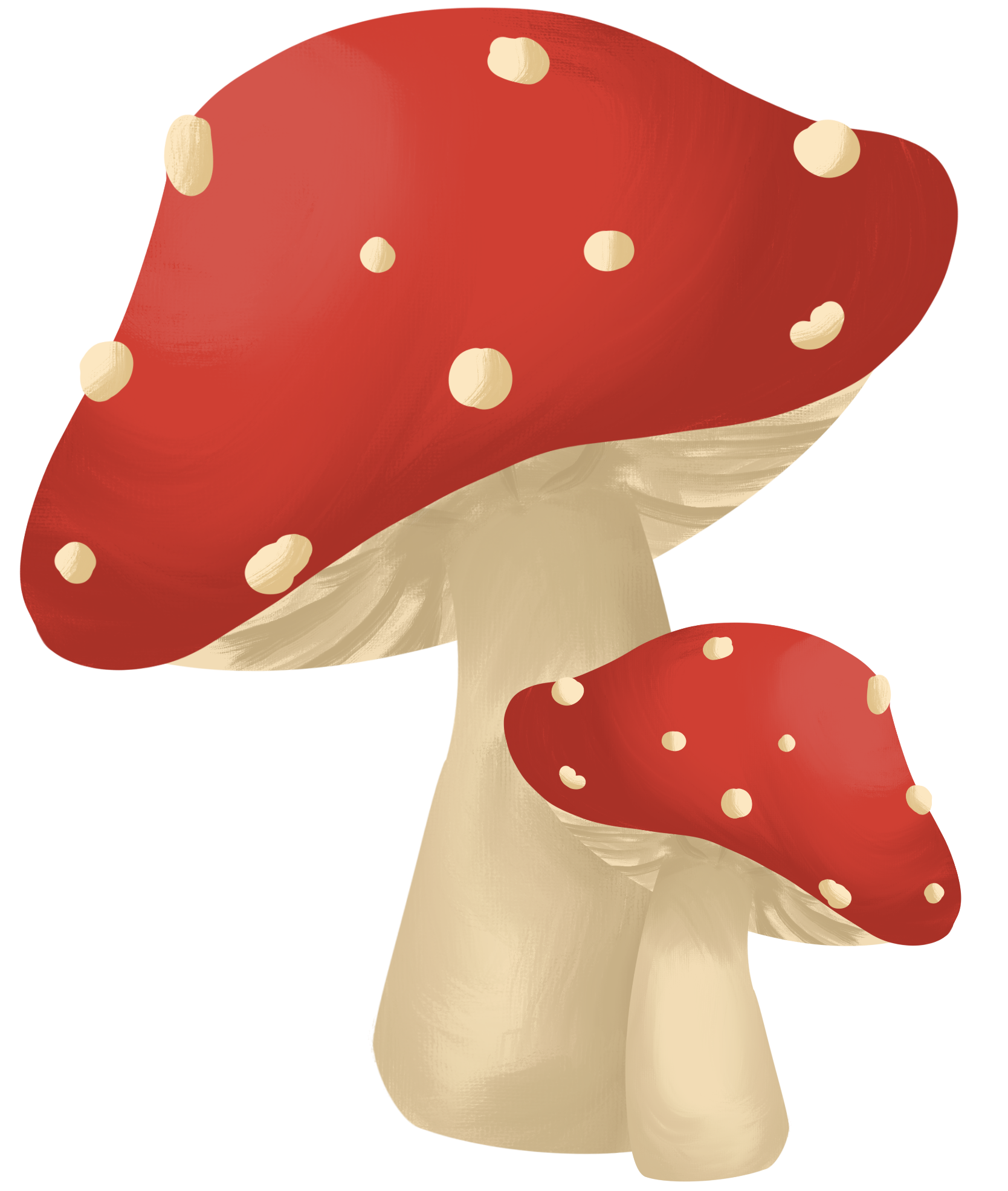 Two mushrooms. Red on top with white spots.