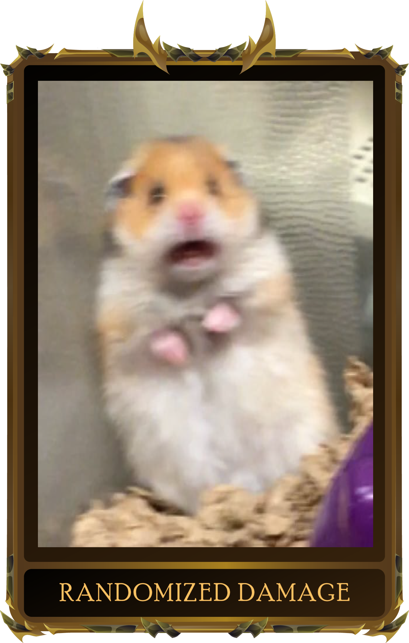 card image with a scared real life hamster